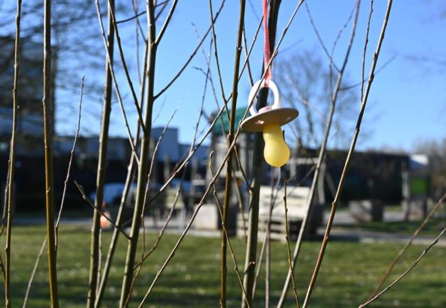 Eerste tutje in de tutjesboom