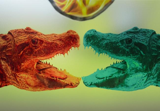 Kunst in Kapellen Kerselare