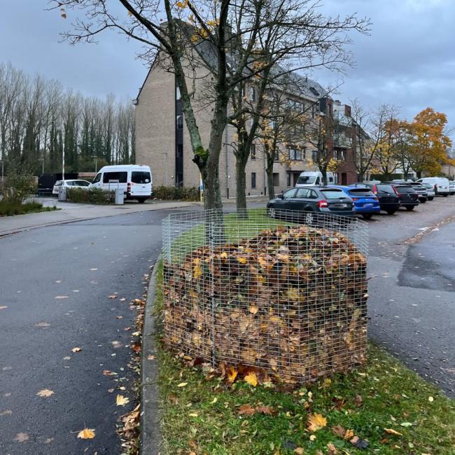 Bladkorf