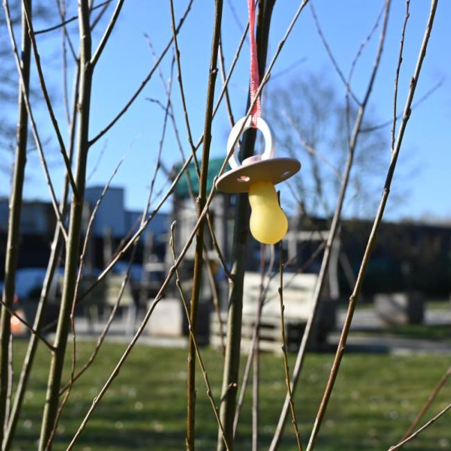 Eerste tutje in de tutjesboom