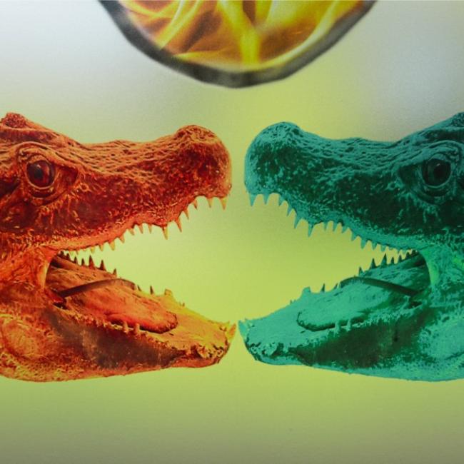 Kunst in Kapellen Kerselare