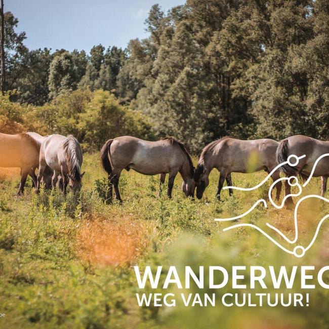 3. Wanderwegen Nederename-Welden