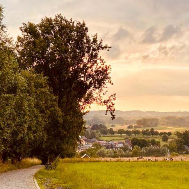 Laat een gids plaatsnemen in jouw bus
